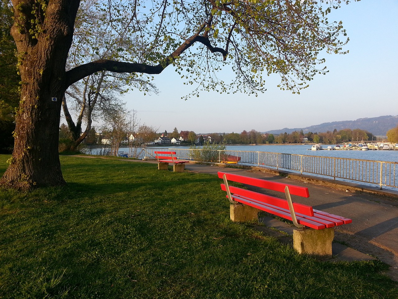 距离跳投彻 距离跳投彻