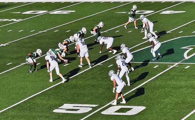 却始终保持 却始终保持