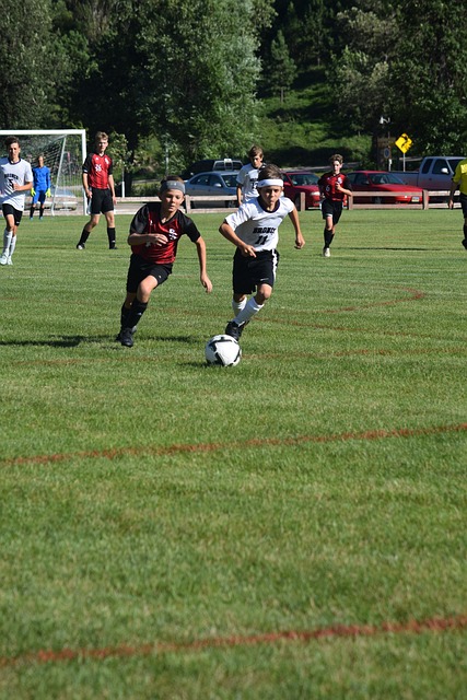 技术的发展 技术的发展