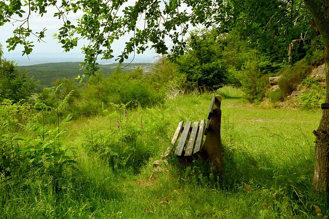 海报背后的 海报背后的